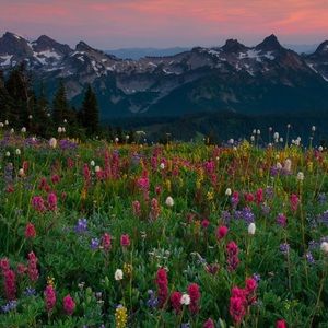 Meet your Posher, Gillian